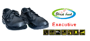 Executive SAFETY SHOES